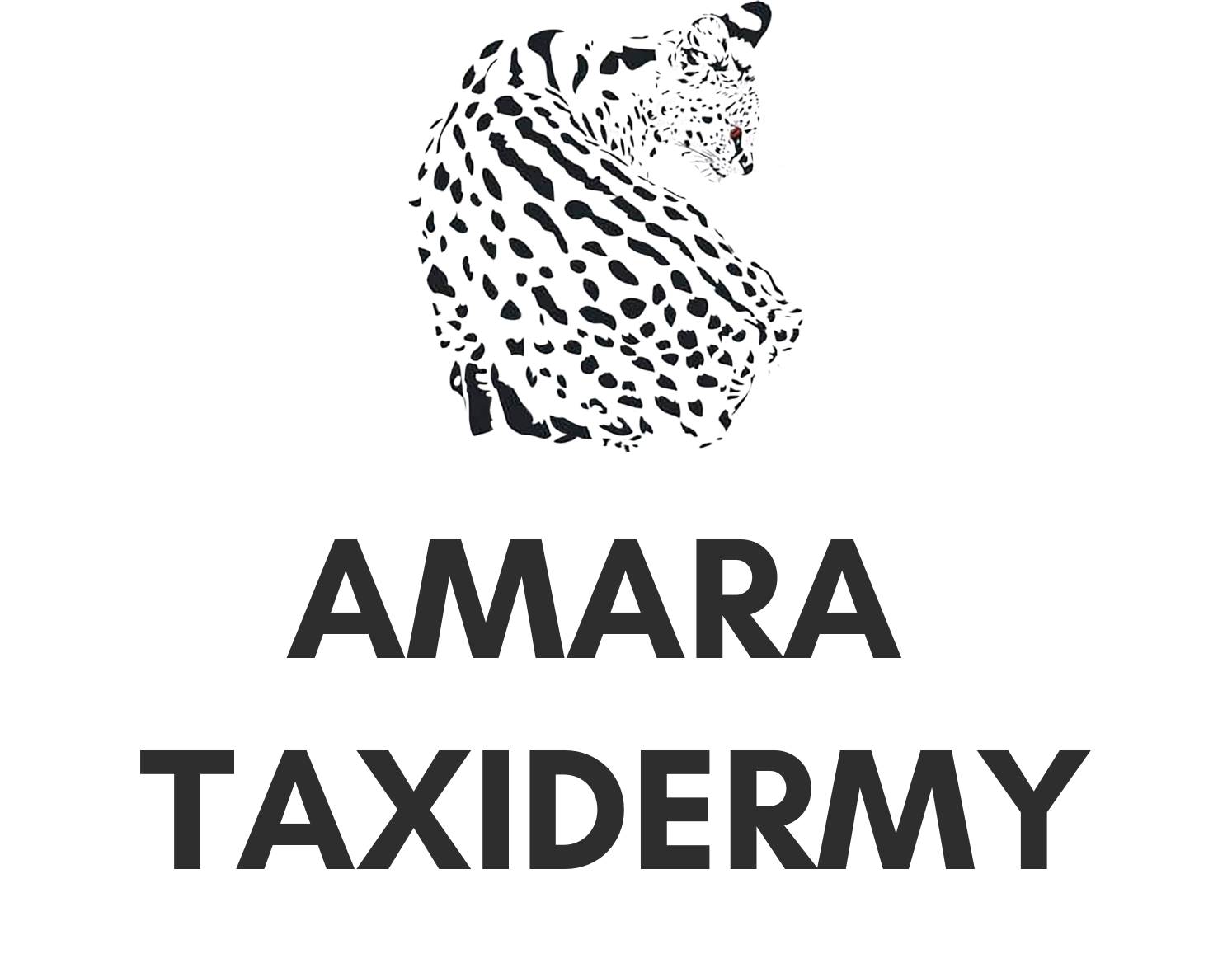 Amara Taxidermy Logo
